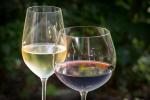 Jak dobrać idealny kieliszek do wina?